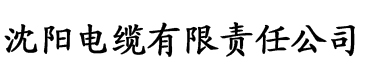 子夜无人在线观看电缆厂logo